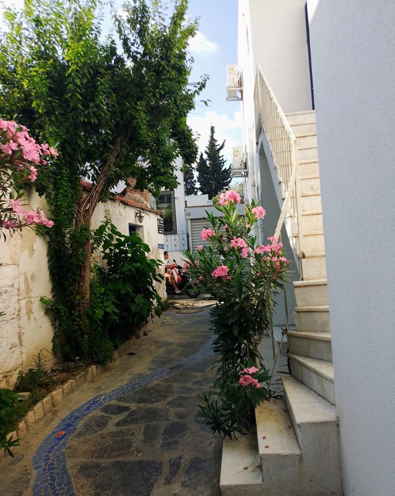 Kardelen Otel Αλικαρνασσός Εξωτερικό φωτογραφία